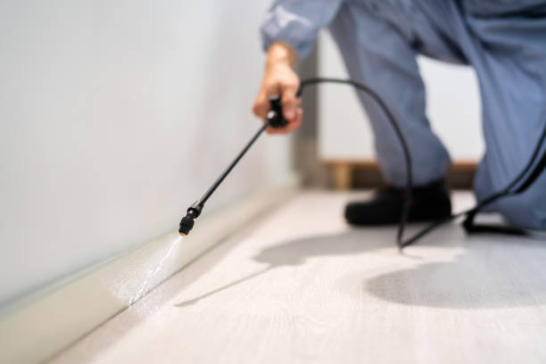 Bed Bug Pre-Treatment Preparation Assessment in Cheswick
