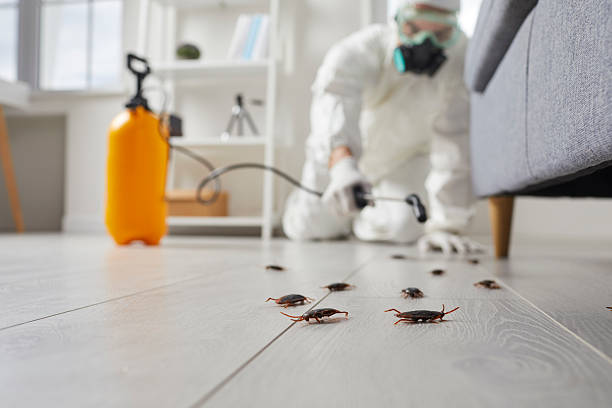 Post-Treatment Bed Bug Interceptor Monitoring in Cheswick